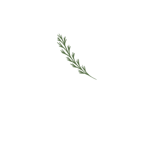 Logo Leipzig Insider weiß